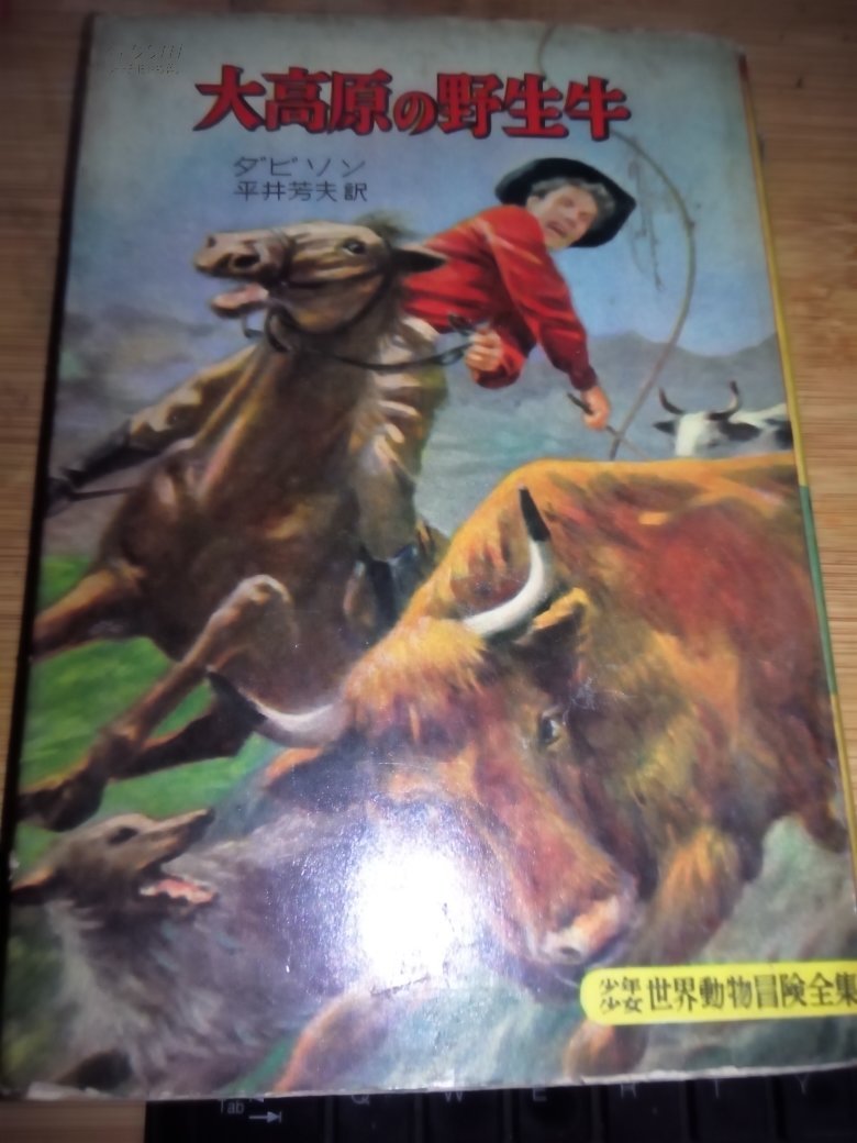 日文原版书 大高原的野生牛（少年少女世界动物冒险全集17）