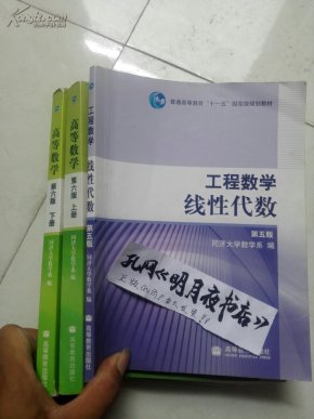 工程数学.线性代数：第五版