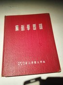 解剖学图谱(第二军医大学，初版，高清图630幅)