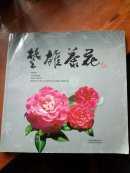 楚雄茶花