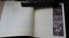 善旦思想水墨
