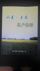 小麦玉米高产栽培，青州