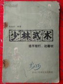 少林武术