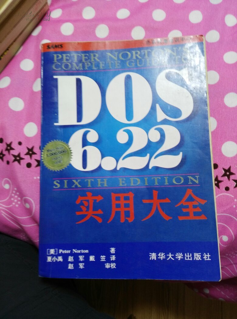 DOS 6.22实用大全:第六版