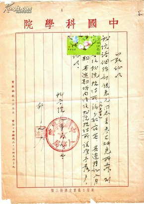 1955年：中国科学院为考古名家：饶惠元 所开证明 郁文签名钤印 中科院公章