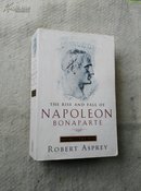 The rise and fall of Napoleon Bonaparte（英文原版，拿破仑的兴衰）