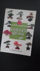 家庭花卉盆景制作200问---花草博士答疑丛书（印数8000册）