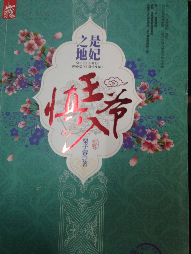 是妃之地，王爺慎入