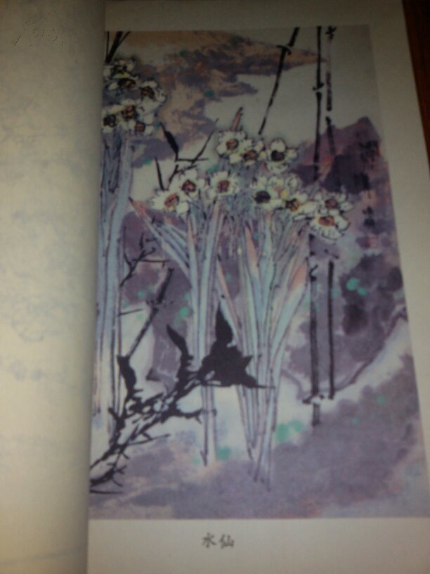 中国画花卉写生【1988年一版一印，附图片】