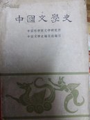 中国文学史