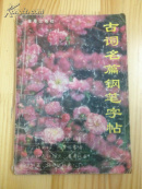 古诗名篇钢笔字帖