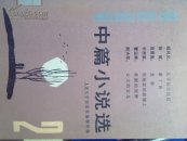 中篇小说选