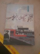 一枕黄粱:蒋冯阎中原逐鹿记