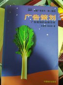 广告策划:广告策划的全新范本