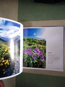花影炫色：中国野生花卉精彩图片选（第1卷）