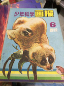 少年科学画报1982-6