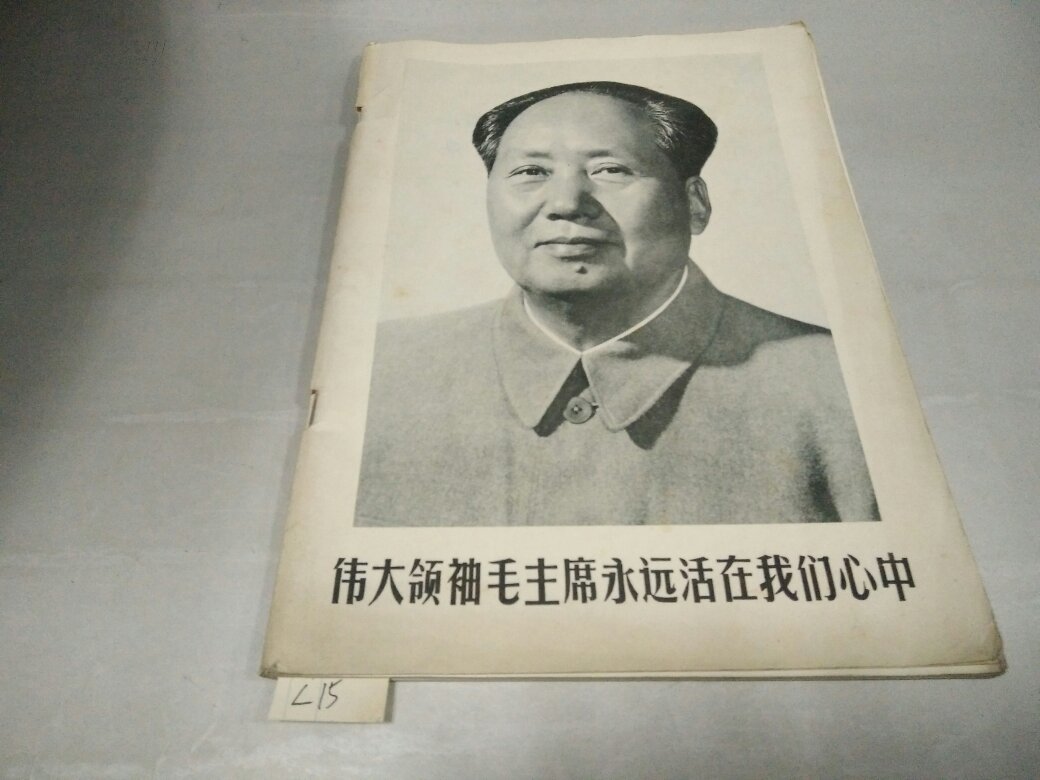 伟大领袖毛主席永远活在我们心中画册--毛主席生平照片63幅