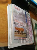 上海集邮（1994年全年6册，1995年全年6册，1996年1至5册）共计17册合售