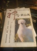 神乌·武山凤