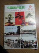 中国花卉盆景  1992／9   河南专号