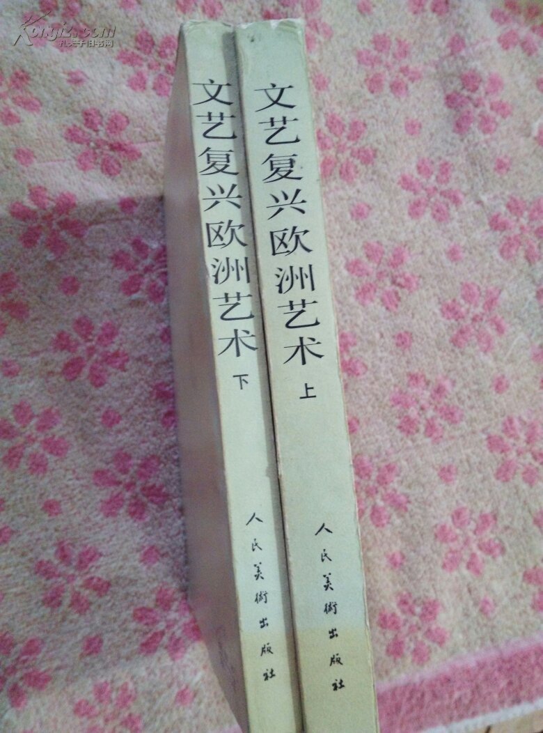 文艺复兴欧洲艺术，上下册，有图片