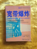 宽带爆炸：听前沿思想家预见一个充分互动的世界