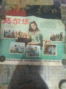 电影海报:马尔华