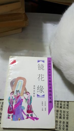 《镜花缘》