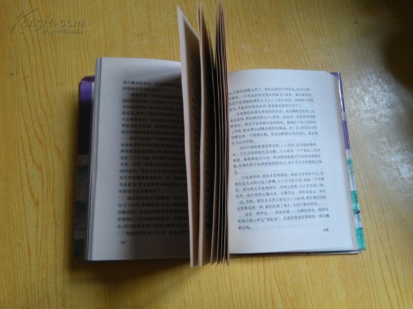 春满北国（美国山川风物四记之一）