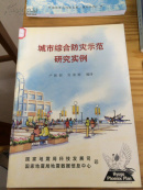 城市综合防灾示范研究实例