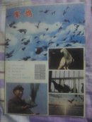 兵器知识（1982年第5期不全）