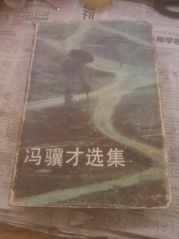 冯骥才选集(一)