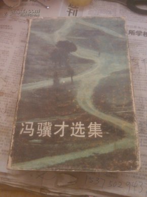 冯骥才选集(一)