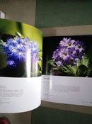 花影炫色：中国野生花卉精彩图片选（第1卷）