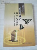 破茧成蝶的艰辛与美丽