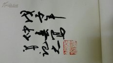 秦敬斌，长江书画院常务理事——工笔下山虎（保真）