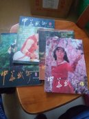 中华武术（1984年第1-4期）