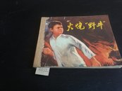 火烧野牛1974年