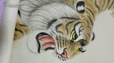 秦敬斌，长江书画院常务理事——工笔下山虎（保真）