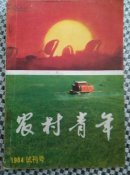 农村青年