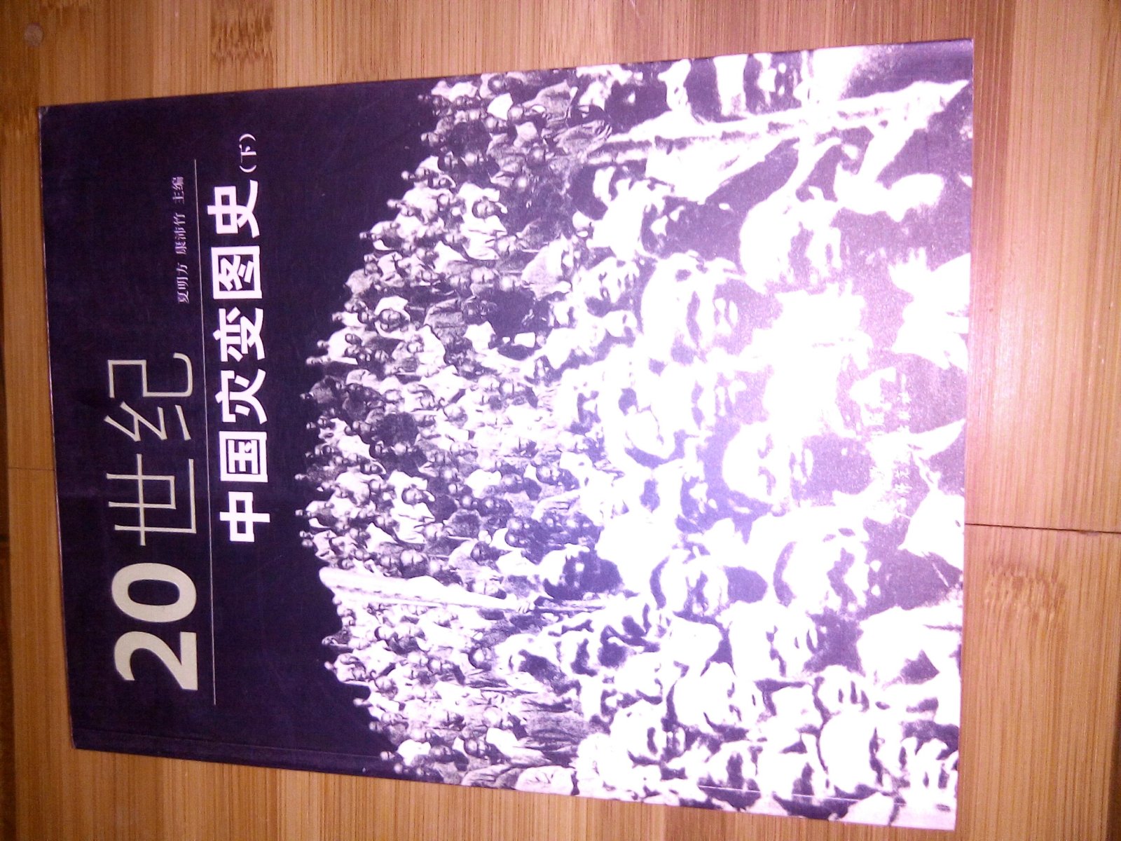 20世纪中国灾变图史(下)