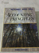 ACCOUNTING PRINCIPLES(WEYGANDT KIESO KELL)超重