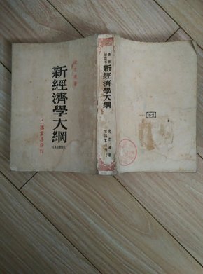 新经济学大纲