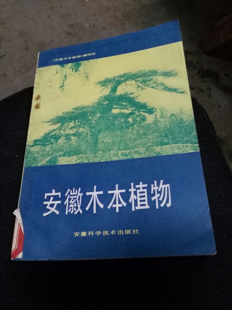 安徽木本植物.一版一印（B一03）