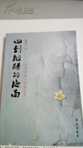 回到粗糙的地面：文学评论与作家访谈