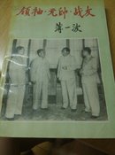 领袖元师战友