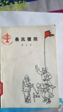 暴风骤雨
