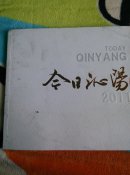 今日沁阳～2011