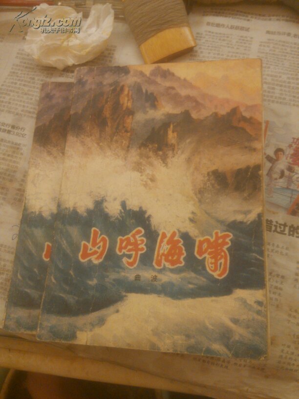 山呼海啸(上下册)