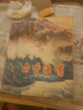 山呼海啸(上下册)